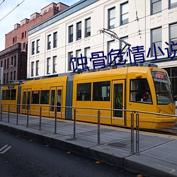 蚀骨危情小说