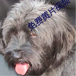 免费(費)黄片(片)视频下载