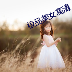极品美女高清 （瞻前思后）