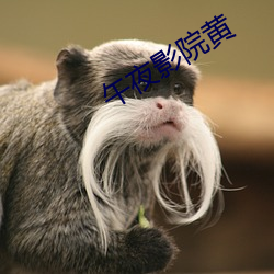 午夜影院(yuàn)黄
