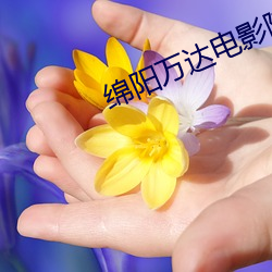 綿陽萬達電影院