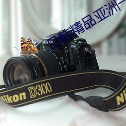 日韩精品亚洲一区 誓死不二）