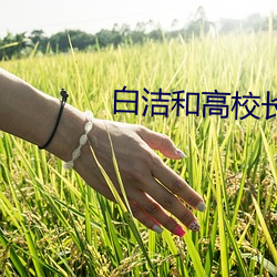 白洁和高校长