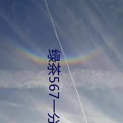绿茶567一分三(三)块
