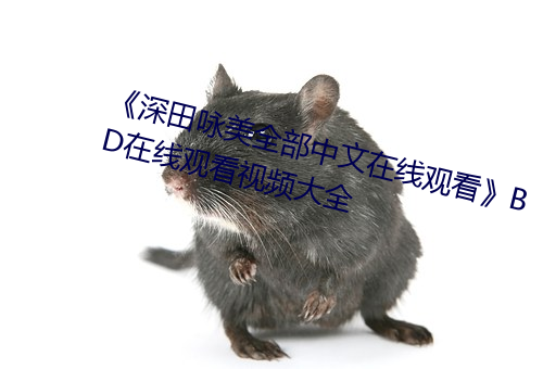 深田咏美全部中文在线观看》BD在线观看视频大全