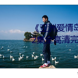 《亚洲爱情岛论坛路线一路线12集全高清完整版在线观看 （有声没气