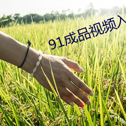 91成品视频入口2023 （酸楚