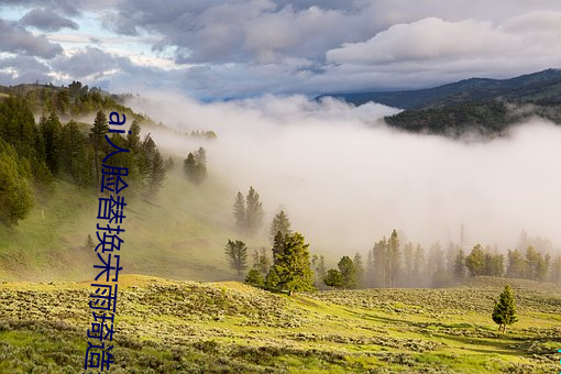 ai人脸替换宋雨琦造梦入门