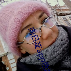 向日葵app色版