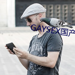 GAYSEX国产