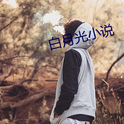 白(白)月(月)光小说