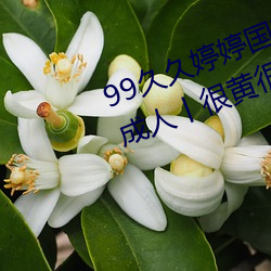 99久久婷婷國産綜合精品青草歐美成人丨很黃很刺激的18禁止