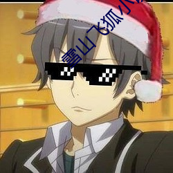 雪山飛狐小說