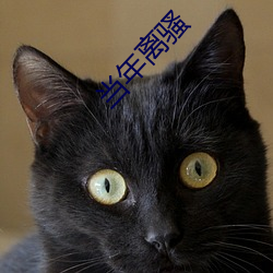当年(年)离骚