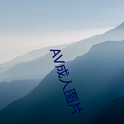 AV成人图片(piàn)