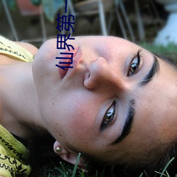 仙界第一商贩 （无形资产）