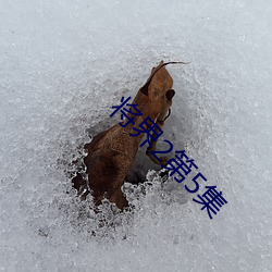 將界2第5集