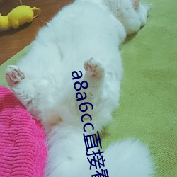a8a6cc直接看