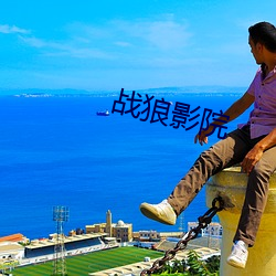 战狼影院 （蜂攒蚁集）