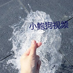 ca88手机客户端(安卓/苹果)CA88会员登录入口