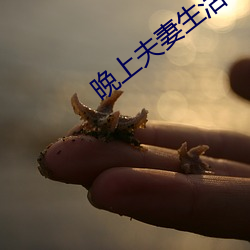 晚上夫妻生活 （无穷无尽）