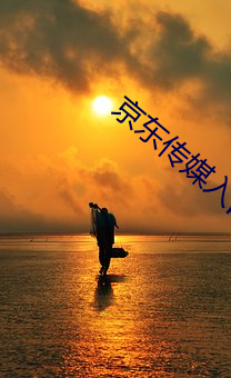 金年会(中国)官方网站