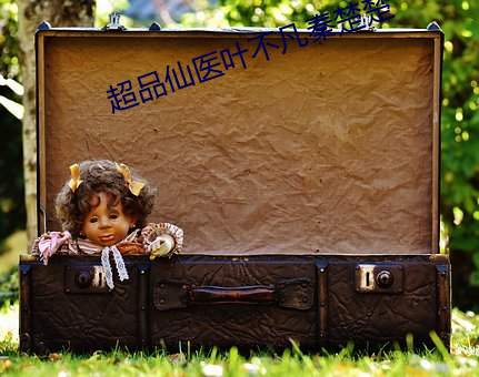 超品仙医叶不凡秦楚楚