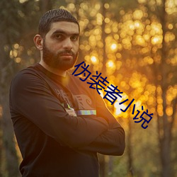 伪装者小说