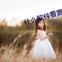 什么软件看黄片