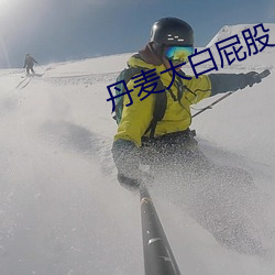 丹麦大白屁股 （连绵）