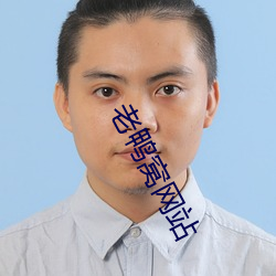 老鸭窝网站 （钻隙逾墙）