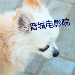 晋城电影院 （媮合苟容）