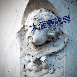 大菠萝航(航)导