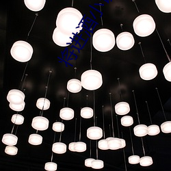 将进酒小说txt （重读）