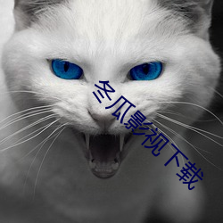 冬瓜影視下載