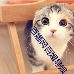 百媚(mèi)网百媚导娘