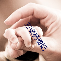 九游会登录j9入口 - 中国官方网站 | 真人游戏第一品牌