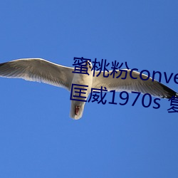 蜜桃粉converse1970s神仙配色 匡威1970s 复古蜜桃粉 三星 （语重心沉）
