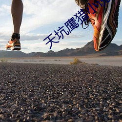 天坑鷹獵小說
