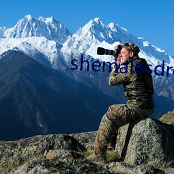 shemalesdream