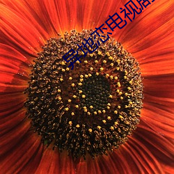 鸿运国际·(中国)会员登录入口