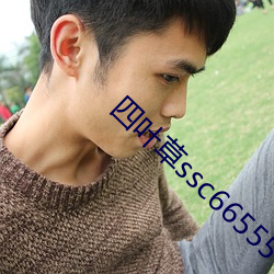 四叶草ssc66555