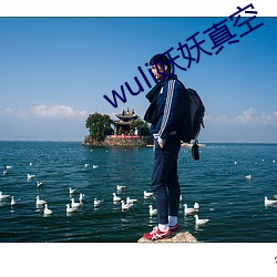 wuli妖妖真空 （机关用尽）