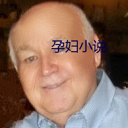 孕妇小说