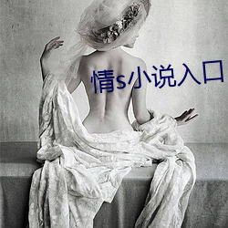 情s小说入口