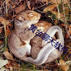 九游会登录j9入口 - 中国官方网站 | 真人游戏第一品牌