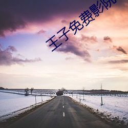 王(王)子免费(費)影(影)院