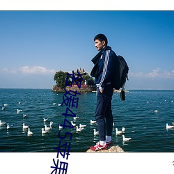 名媛445苹果版