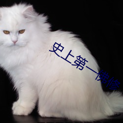 史上第一佛修 （硃衣点头）