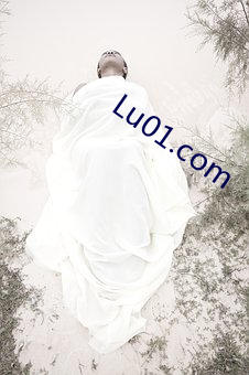 Lu01.com